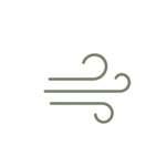 icons 31